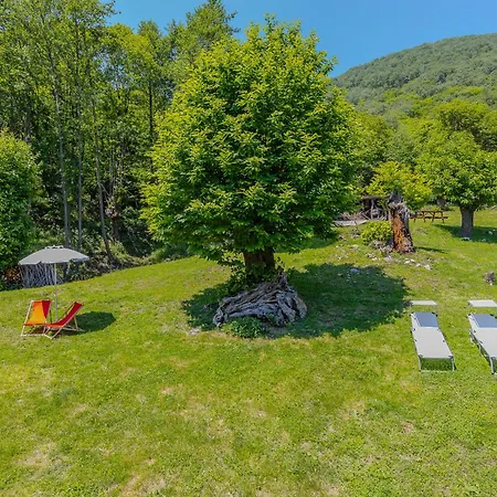 Apartament Alba *